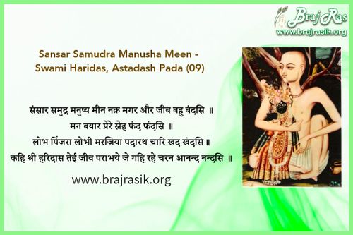 Sansar Samudra Manushya Meen - Shri Haridas Ji, Ashtadash Pada (9)