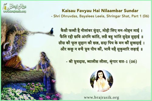 कैसौ फव्यौ है नीलांबर सुंदर - श्री हित ध्रुवदास, बयालीस लीला, श्रृंगार शत 1 (06)