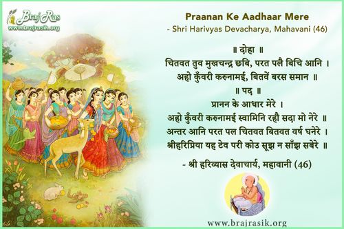 Praanan Ke Aadhaar Mere - Shri Harivyas Devacharya, Mahavani, Sahaj Sukh (46)