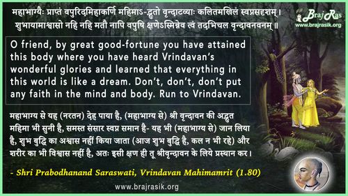 महाभाग्यैः प्राप्तं वपुरिदमिहाकर्णि महिमा - श्री प्रबोधानंद सरस्वती, वृन्दावन महिमामृत (1.80)