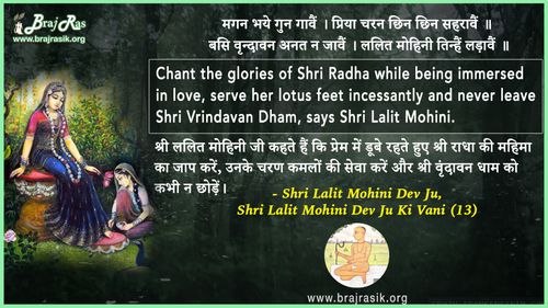 मगन भये गुन गावैं  - श्री ललित मोहिनी देव, श्री ललित मोहिनी देव जू की वानी, सिद्धांत के पद (13)