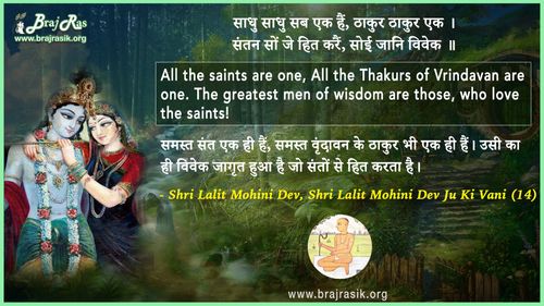 Sadhu Sadhu Sab Ek Hain - Shri Lalit Mohini Dev Ju Ki Vani, Siddhant Ke Pad (14)