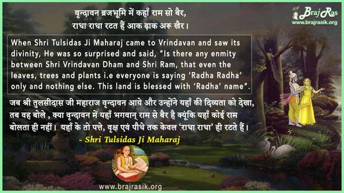 Vrindavan Brajbhumi Mein - Shri Tulsidas Ji Maharaj