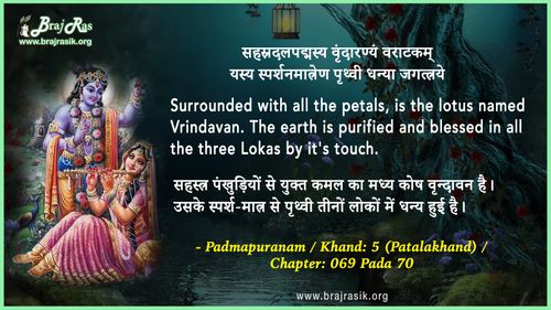 सहस्रदलपद्मस्य वृंदारण्यं वराटकम्  - पद्मपुराणम्/खण्डः ५ (पातालखण्डः)/अध्यायः ०६९ पद ७०