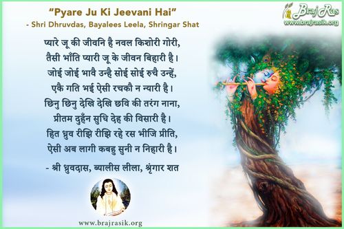 प्यारे जू की जीवनि है नवल किशोरी गोरी - श्री ध्रुवदास, बयालीस लीला, श्रृंगार शत 2 (4)
