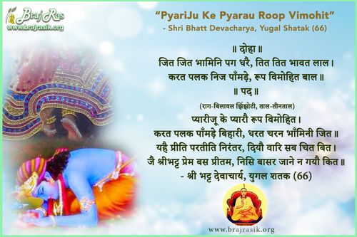 Pyari Ju Ke Pyarau Roop Vimohit - Shri Bhatt Devacharya, Yugal Shatak (66)
