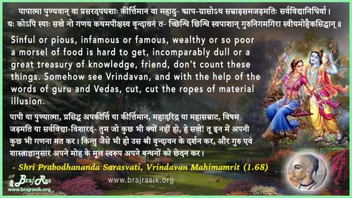 Paapatma Punyavaan Va Prasaradapayashaah - Shri Prabodhananda Sarasvati, Vrindavan Mahimamrit (1.68)
