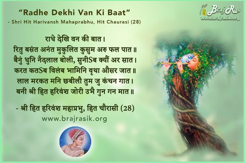 Radhe Dekhi Van Ki Baat - Shri Hit Harivansh Mahaprabhu, Hit Chaurasi (28)