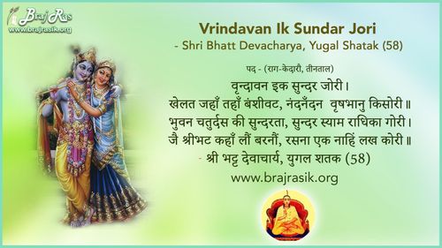 वृन्दावन इक सुन्दर जोरी - श्री भट्ट देवाचार्य, युगल शतक (58)