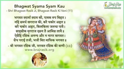 भगवत स्यामाँ स्याम कौ - श्री भगवत रसिक जी, भगवत रसिक की वाणी, अनन्यरसीकाभरण ग्रन्थ (12.11)
