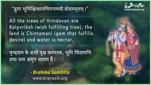Drum Bhoomishchintaamanigammayee Toyam Mrtam - Brahma Samhita