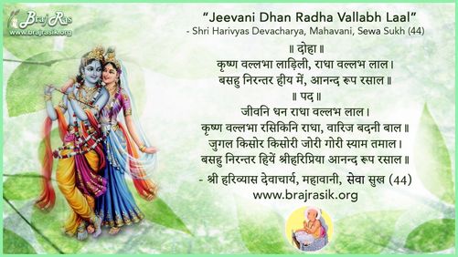 Jeevani Dhan Radha Vallabh Laal - Shri Harivyas Devacharya, Mahavani, Sewa Sukh (44)