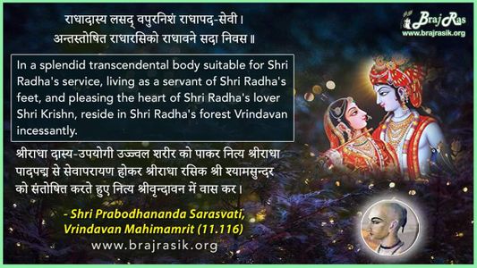 Radhadaasy Lasad Vapuranisham - Shri Prabodhananda Sarasvati, Vrindavan Mahimamrit (11.116)