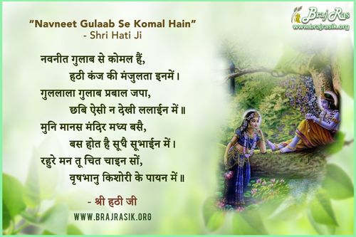 Navneet Gulaab Se Komal Hain - Shri Hati Ji, Radha Sudha Shatak (49)
