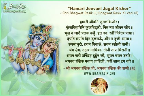 Hamari Jeevani Jugal Kishor - Shri Bhagwat Rasik Ji, Bhagwat Rasik Ki Vani, Ananyarasikabharan Granth (5.5)