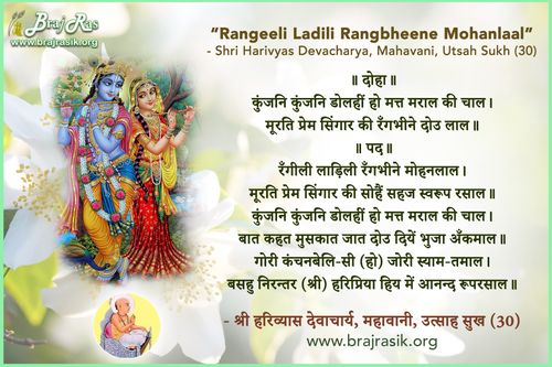 रँगीली लाड़िली रँगभीने मोहनलाल - श्री हरिव्यास देवाचार्य, महावानी, उत्साह सुख (30)