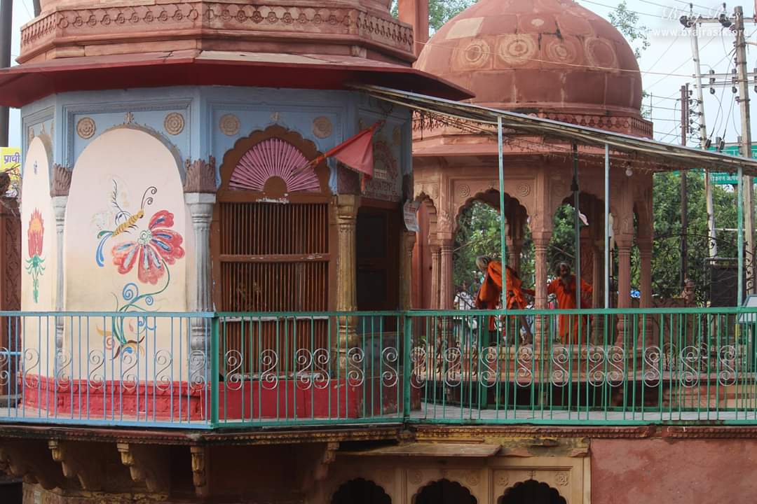 कालिया नाग