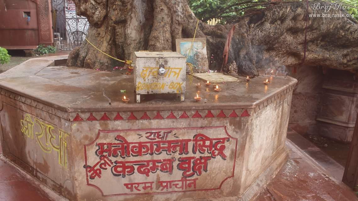 कालिय दह या कालिया घाट, वृंदावन में "इच्छा-पूर्ति करने वाला वृक्ष" के मंच पर प्राचीन दिव्य वृक्ष के बारे में जानकारी लिखी गई है। 