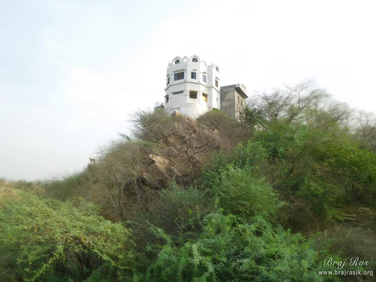 राधाकुंड, गहवर वन से मोर कुटी का दृश्य