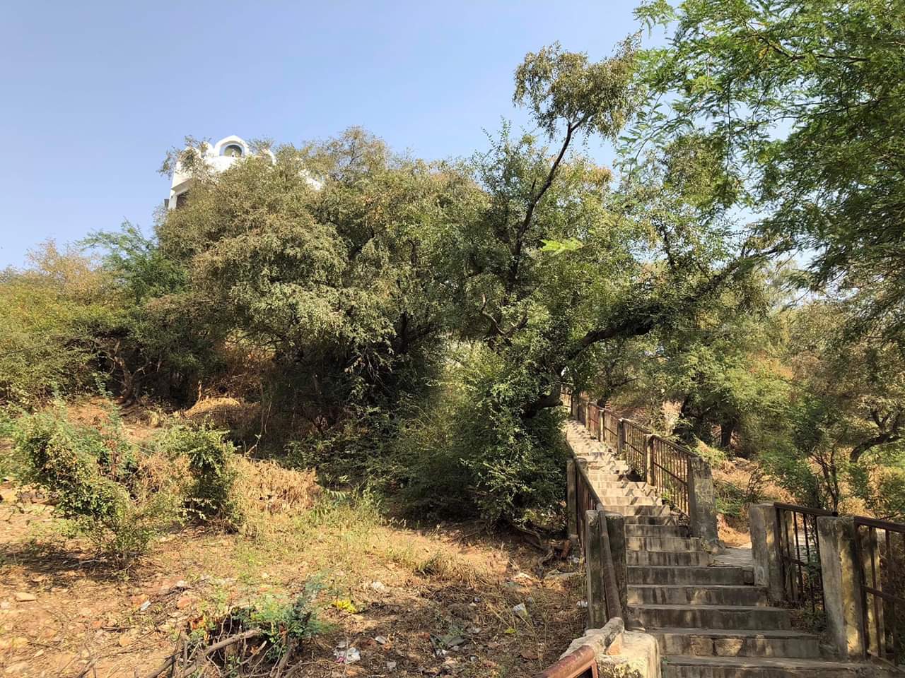 मोरकुटी बरसना की सीढ़ियाँ