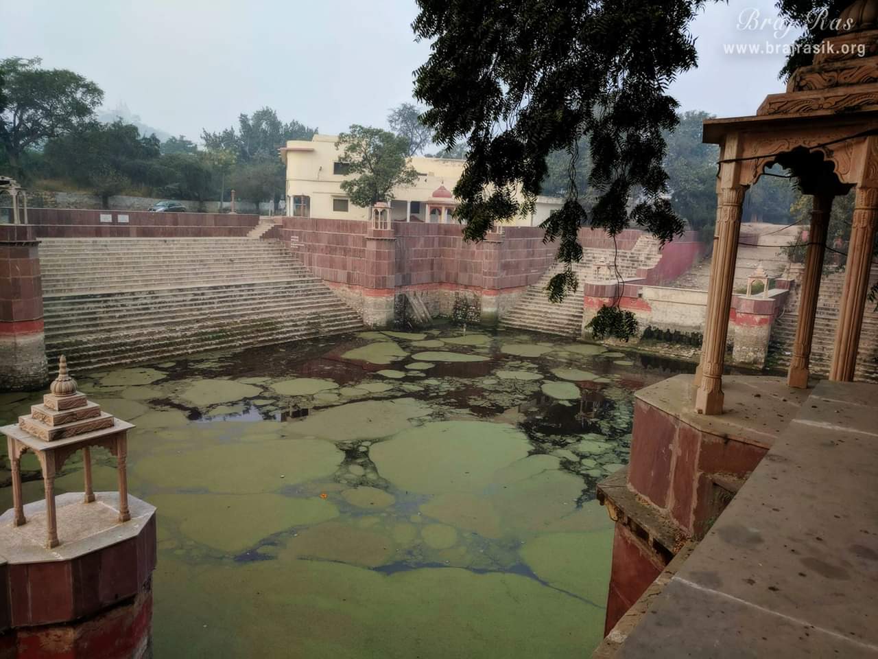 Peeli Pokhar or Priya Kund, Barsana