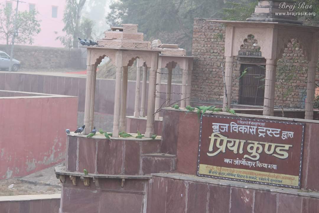 Surrounded by various parrots and peacocks, the place is at the heart of Barsana, very near to Rangeeli Mahal Barsana