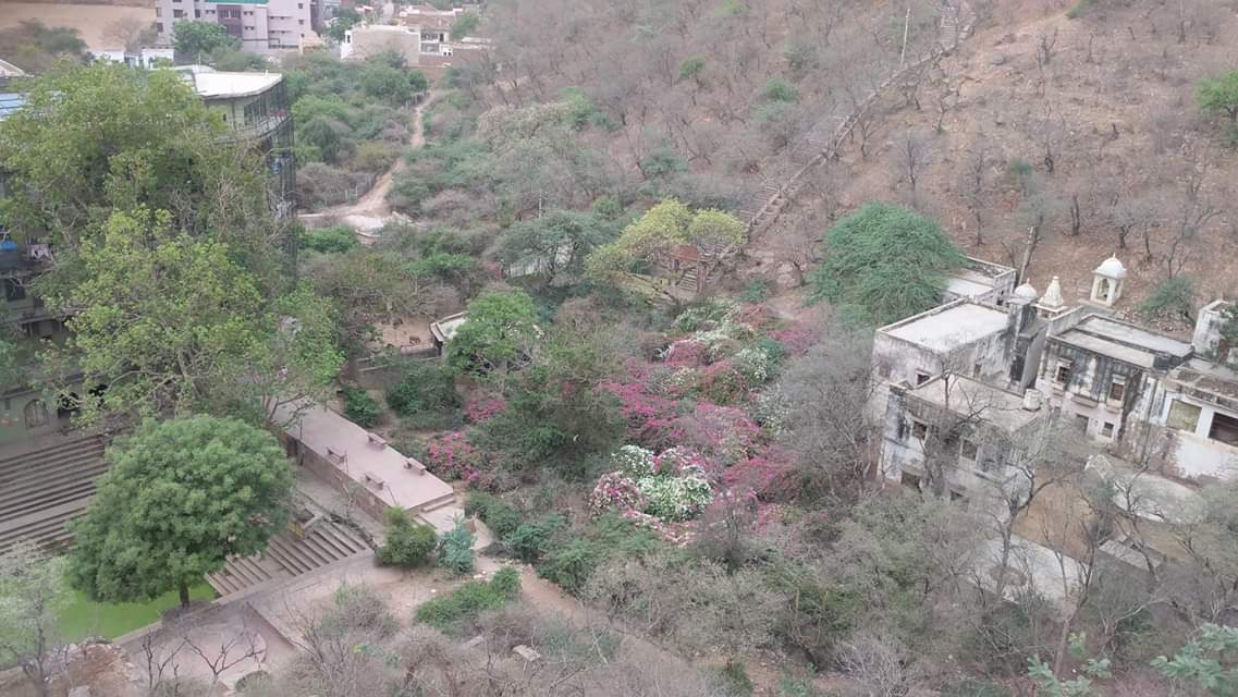 View of Gehvar Van, Barsana from Morkuti. Shri Radhasarovar, Maan Mandir etc are located here. 
