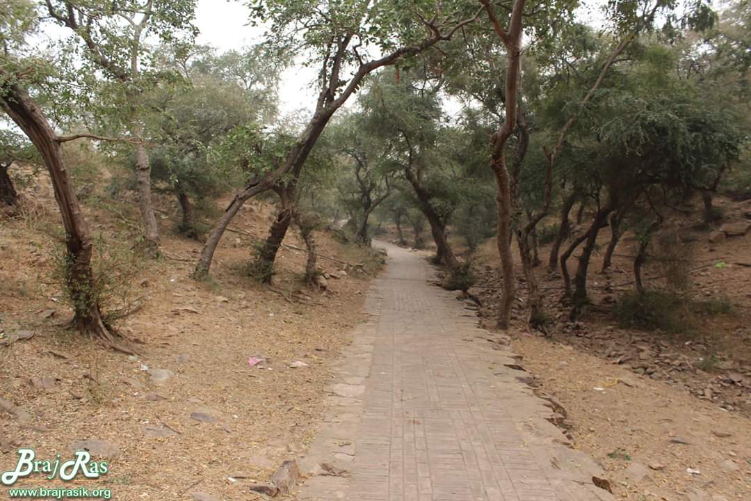 Parikrama way, Gehvarvan, Barsana parikrama. 
