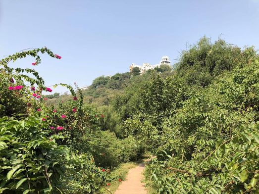 Morkuti View of Gehvar van, Barsana. 