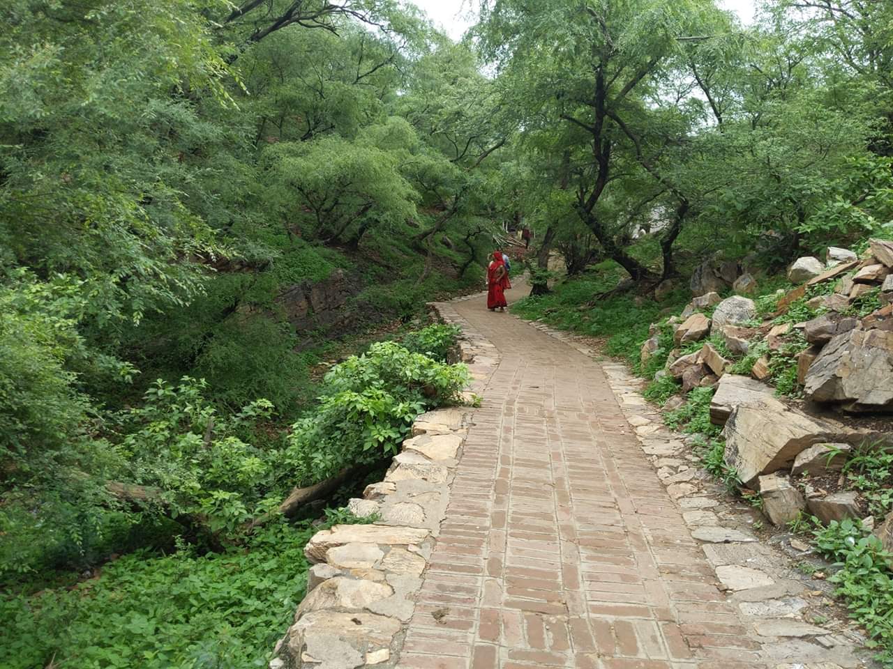 Parikrama marg  at Gehvarvana Barsana.