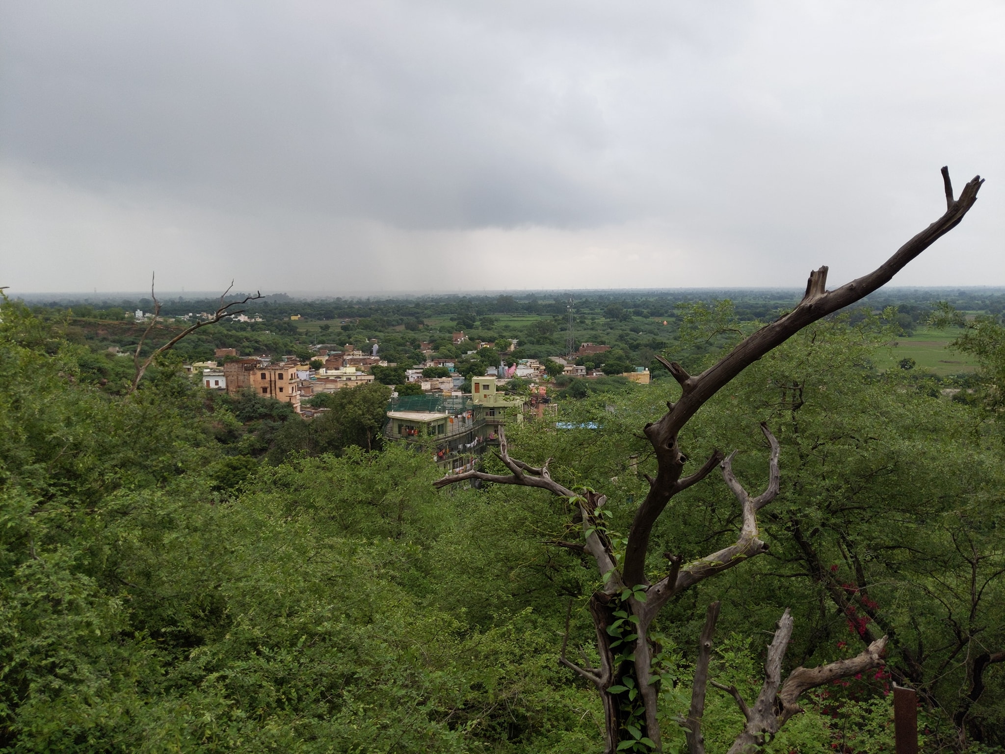 View of Barsana from Brahma Parvat(hill)  at Gehvarvana Barsana.
