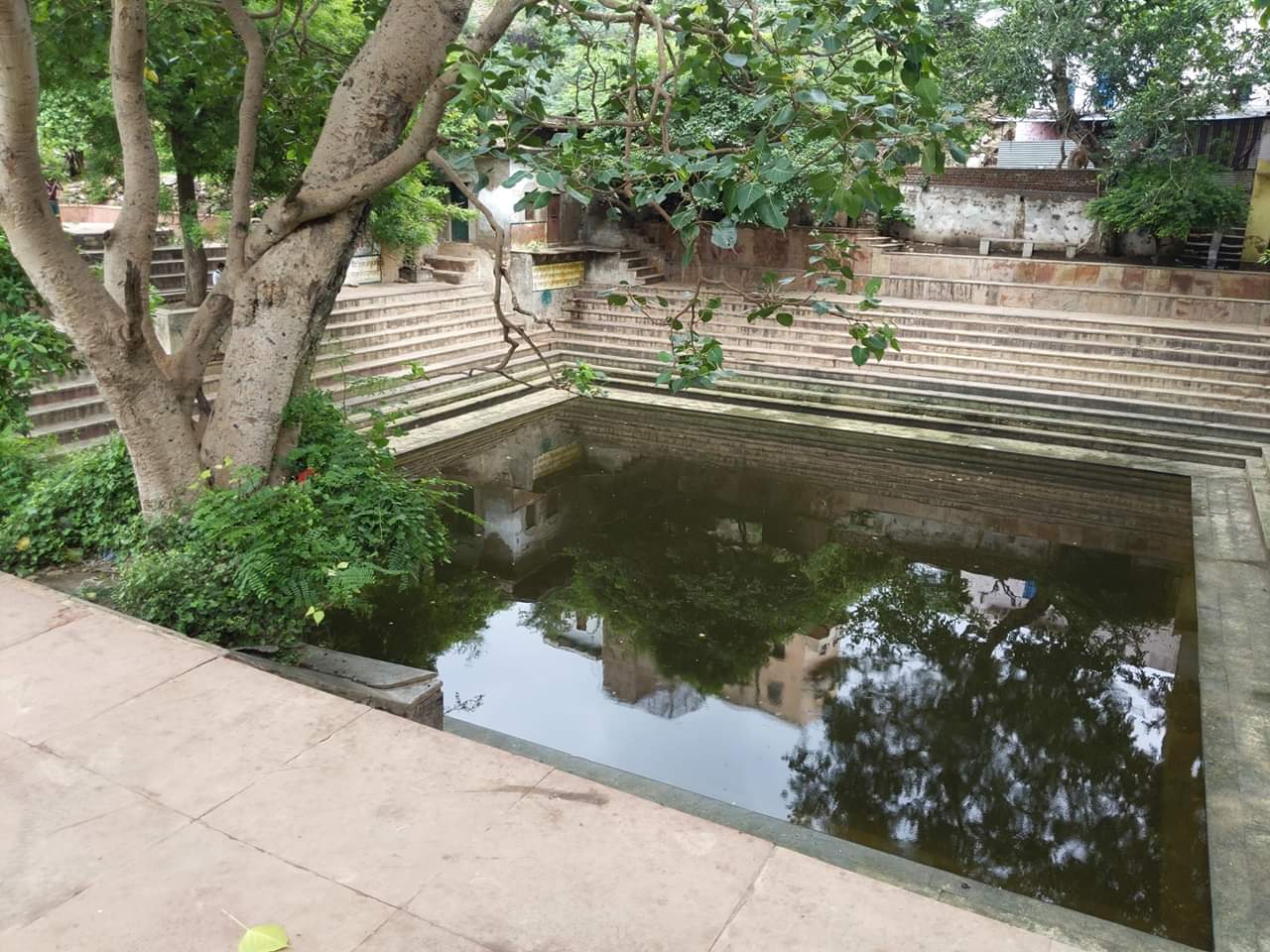 Shri Radha Sarovar at Gehvarvana Barsana.
