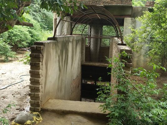 Old Raas Leela sthali found 10 feet below at Radha Sarovar, Gehvarvana Barsana.