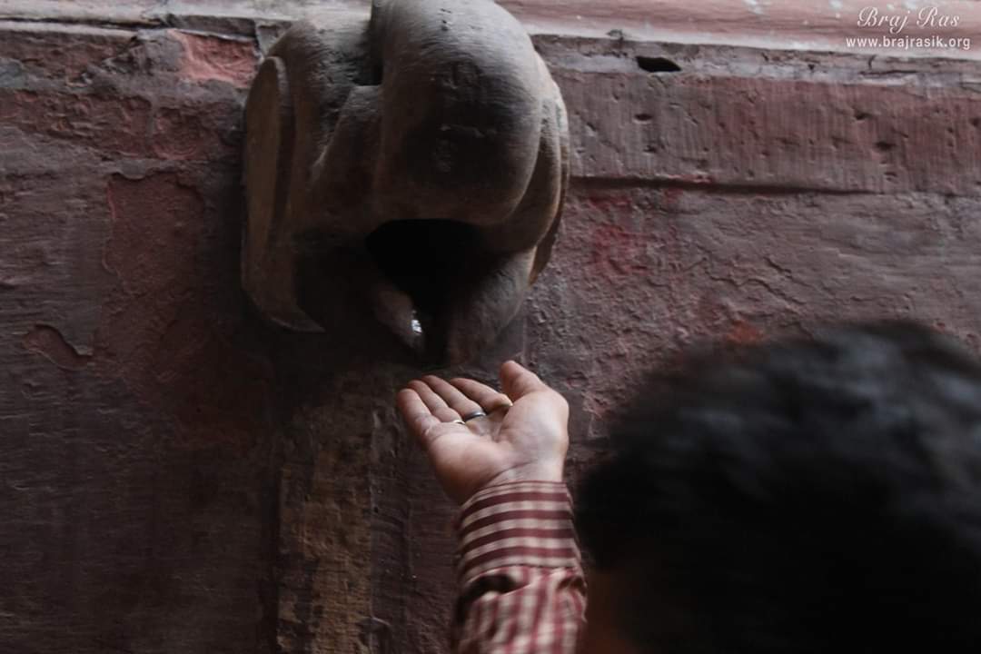 बांके बिहारी मंदिर, वृंदावन के दूसरी ओर का दृश्य। श्री बांके बिहारी के चरण कमलों का चरणामृत।