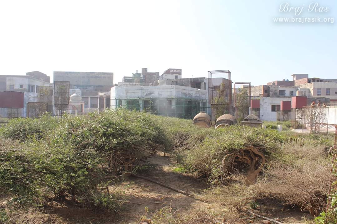 किशोर वन, वृंदावन