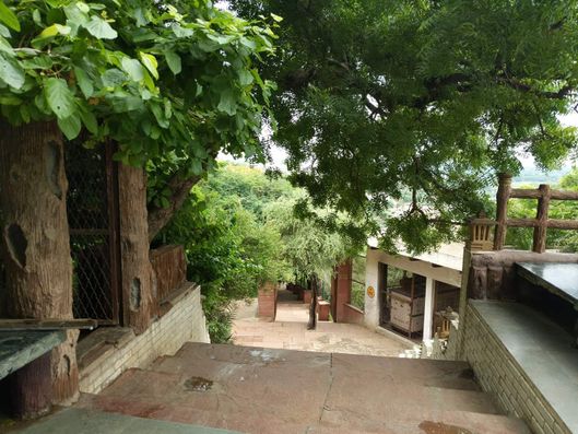 Stairs leading to Gahvar van from Maan Mandir at Gahvarvan