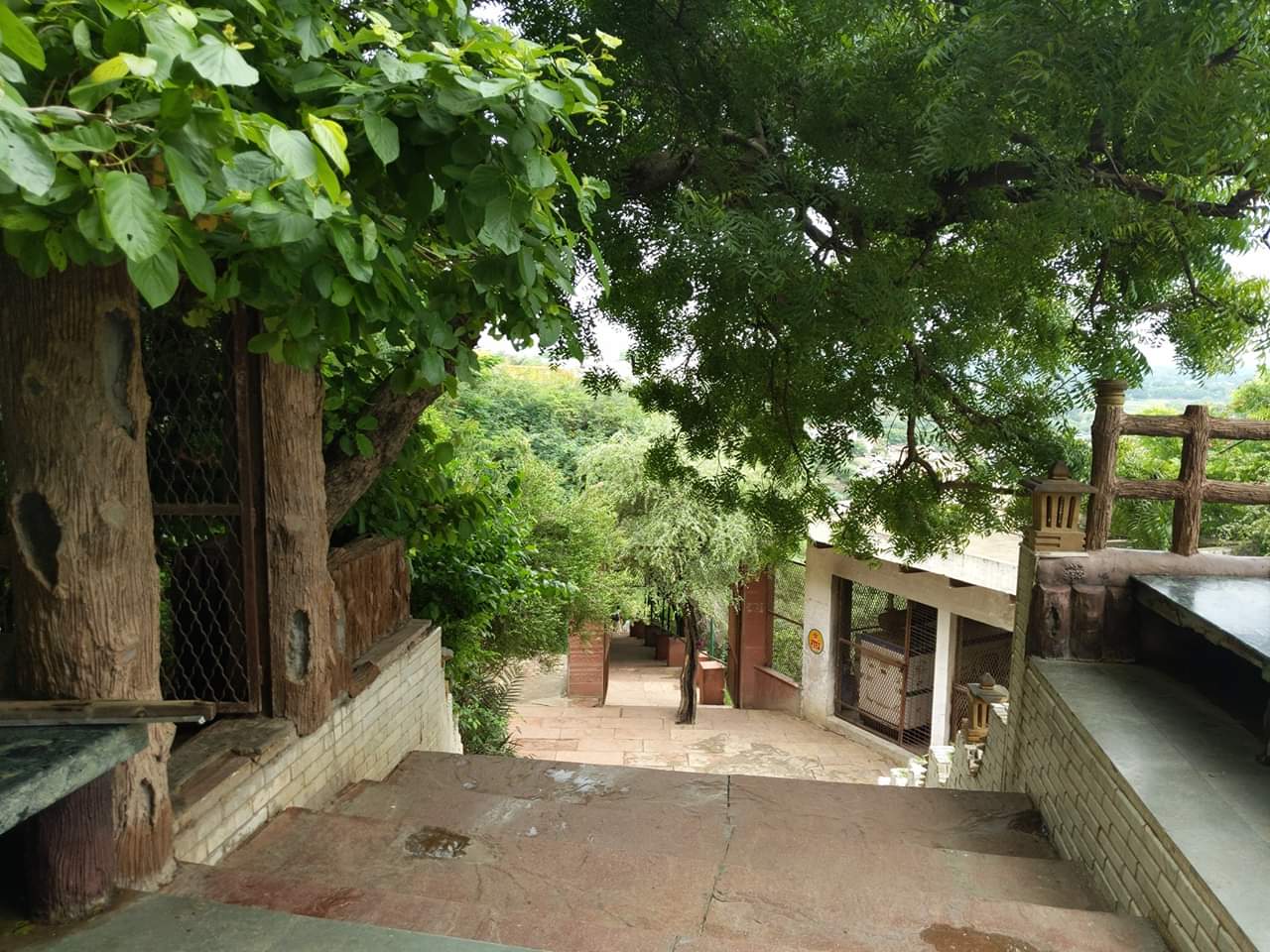 Stairs leading to Gahvar van from Maan Mandir at Gahvarvan