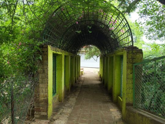 Pathway leading to Shri Radha sarovar from Maan Mandir at Gahvarvan