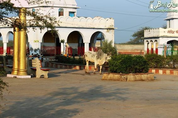At Kokilavan, Braj.