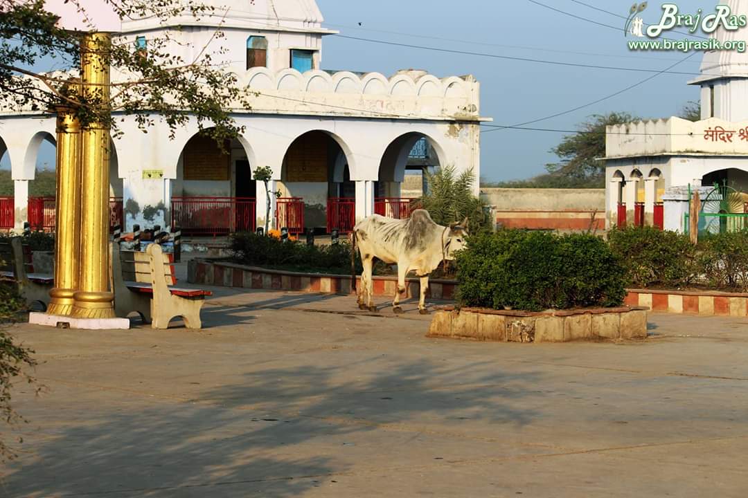 At Kokilavan, Braj.