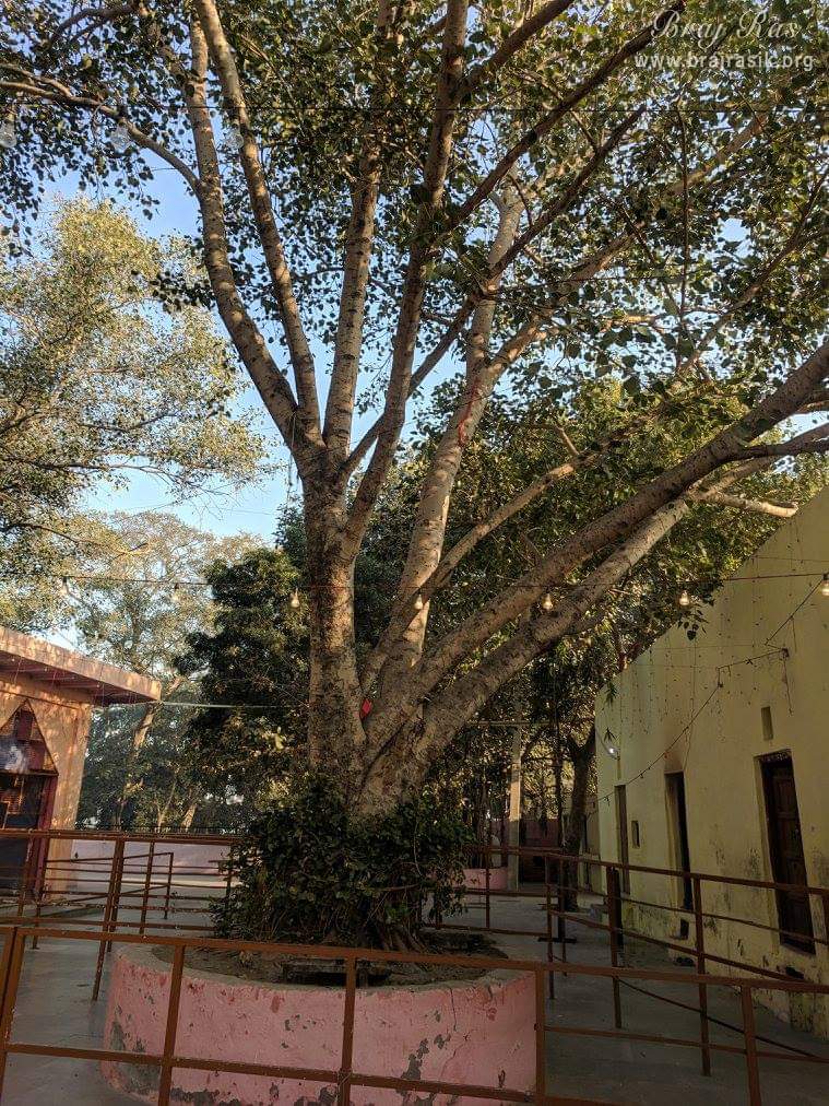 Except for the Gopis, who are the embodiment of single-mindedness love, merged in divine pure love, none is having the privilege of entering in divine Raas. Access to Raas is only possible with the grace of unlimited divine joy rendering (mahabhaao) form shree Radha and her internal potency (Swarup shakti) Gopis (Radha's associates).