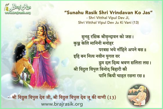 Sunahu Rasik Shri Vrindavan Ko Jas - Shri Vitthal Vipul Dev Ji, Shri Vitthal Vipul Dev Ju Ki Vani (13)