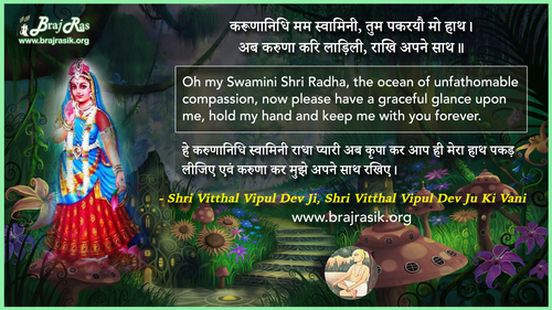 करूणानिधि मम स्वामिनी - श्री विठ्ठल विपुल देव जी, श्री विठ्ठल विपुल देव जू की वाणी