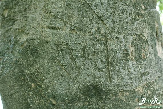 Shri “Radhe” name at Tatiya Sthan, Vrindavan nature. The sadhus living here live in complete renunciation. The place is very peaceful and calm.