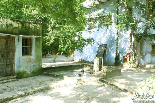 The seventh aacharya, Shri Lalit Kishori Dev ji resided on this earth between 1758 and 1823, in order to go and meditate somewhere under a secluded tree. They fenced the whole area using bamboo sticks.This is how the place was named Tatiya Sthan.