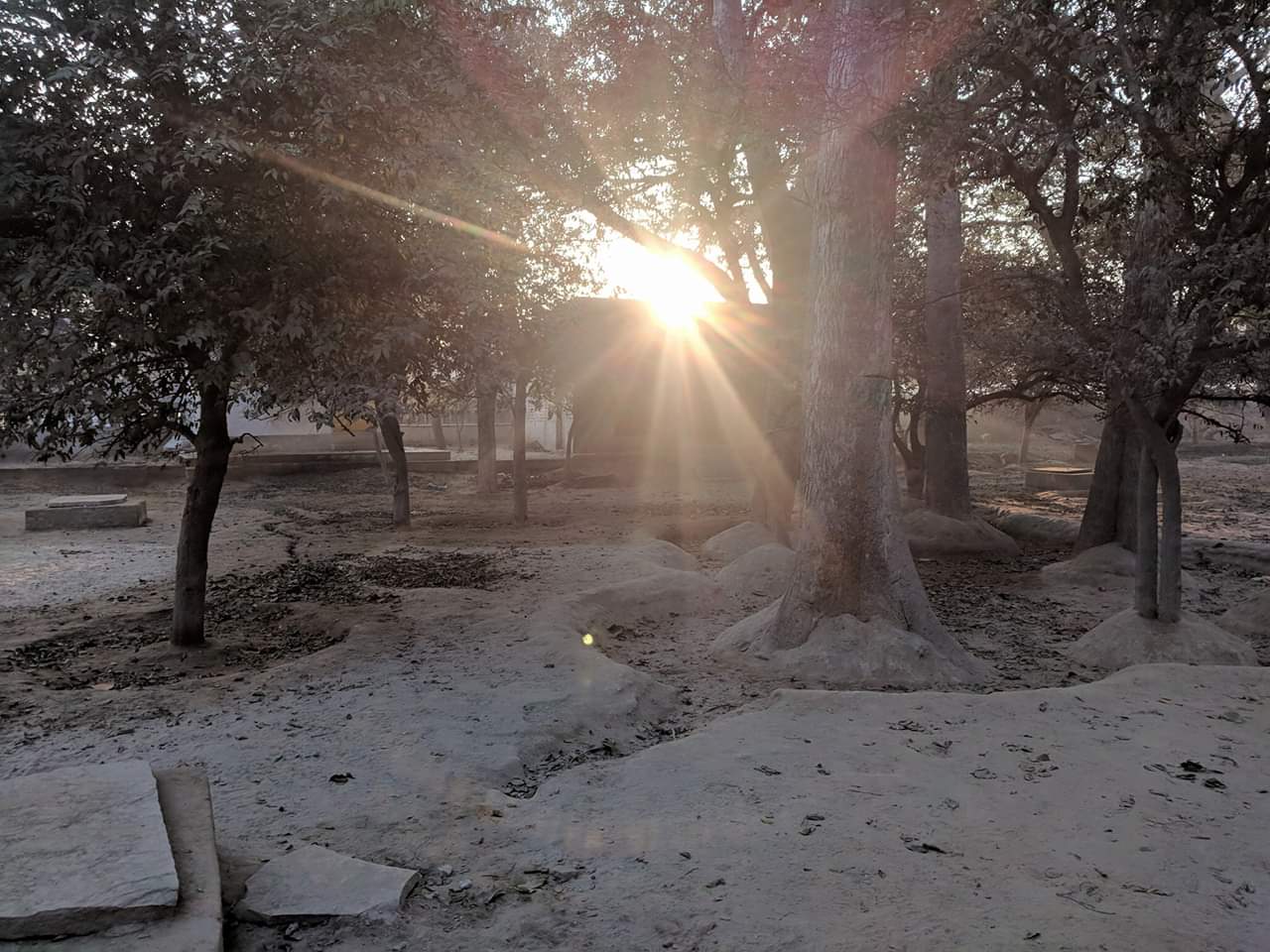 Morning view of Shri Tatiya Sthan, Vrindavan at Gyan Gudhari.