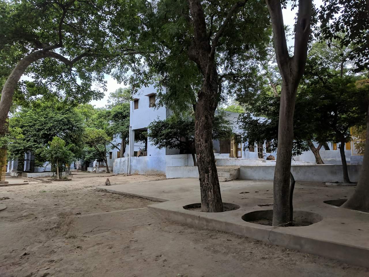 Another view of Shri Tatiya Sthan, Vrindavan at Gyan Gudhari.