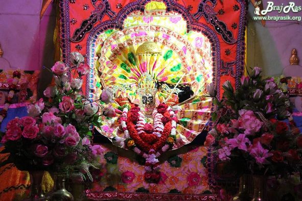 Shri Shriji Raseshwari Ji Maharaj at Hita Old Raas Mandal.