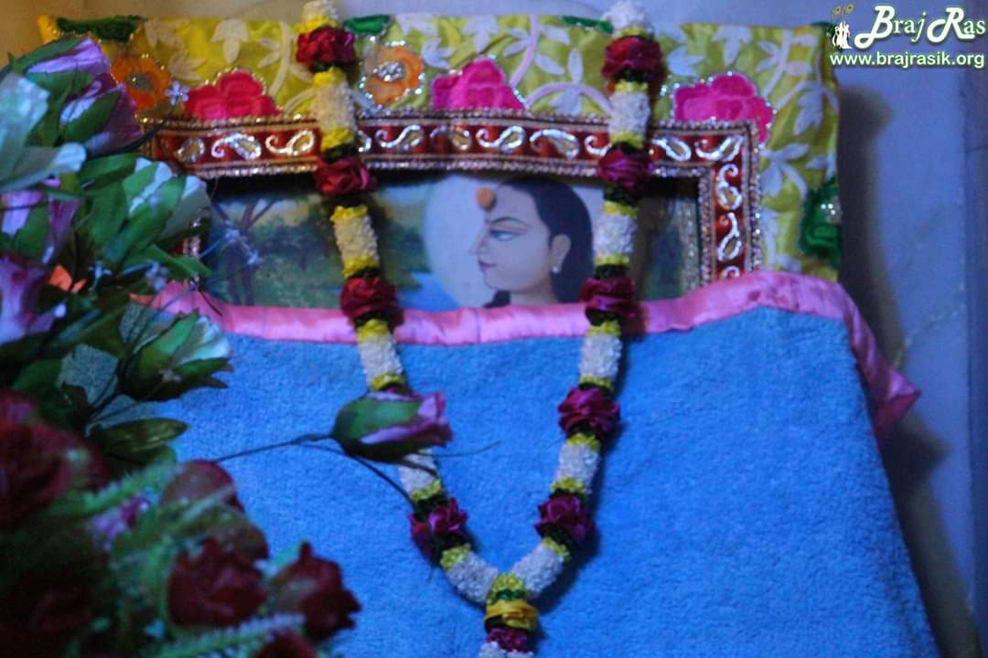Shri Sewak Ji also known as Damodardas Ji was a disciple of Shri Hitharivansh Ji. Shri Sewak ji merged with a banyan tree becoming one with the Lord near Raas Mandala in Vrindavan.