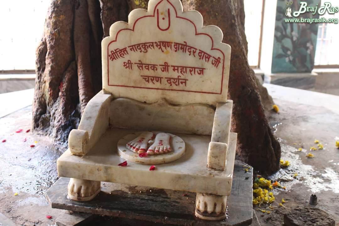 Shri Sewak Ji also known as Damodardas Ji was a disciple of Shri Hit Harivansh Ji. Shri Sewak Ji merged with a tree here becoming one with the Lord near Raas Mandala in Vrindavan. His Charan Darshan photo.